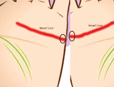 Τι αποκαλύπτουν οι δυο γραμμές για όσους τις έχουν στην παλάμη τους; (βίντεο)